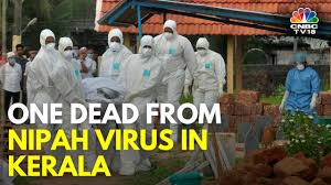 kerala nipah virus